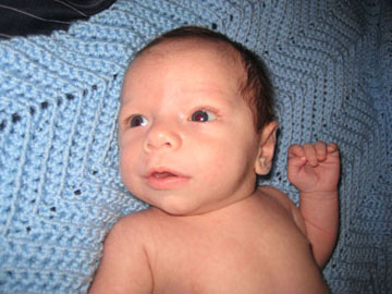 Chase Gregory